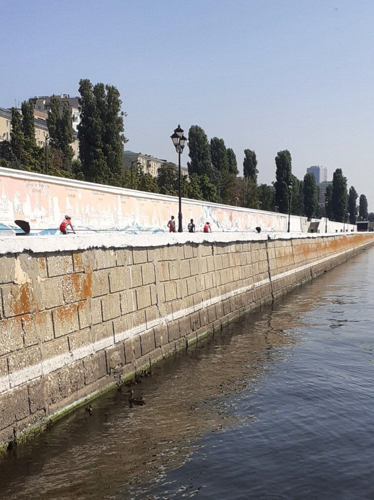 На набережной Саратова сняли большую птичью тусовку На набережной Саратова сняли большую птичью тусовку