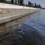 На набережной Саратова сняли большую птичью тусовку На набережной Саратова сняли большую птичью тусовку