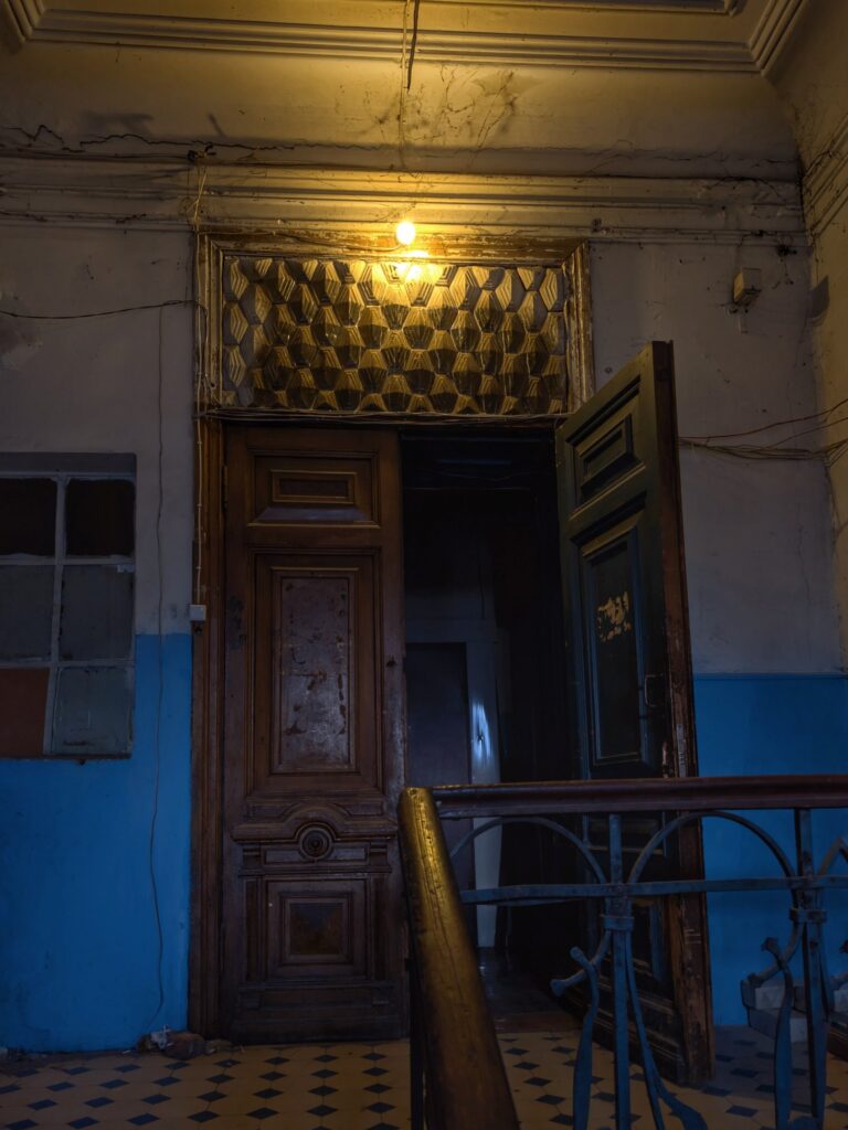 Фальконьешки в Саратове