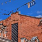 Фальконьешки в Саратове