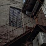 Фальконьешки в Саратове