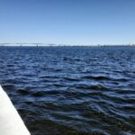В акватории Набережной Волгу очистили от водорослей и мусора