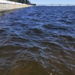 В акватории Набережной Волгу очистили от водорослей и мусора