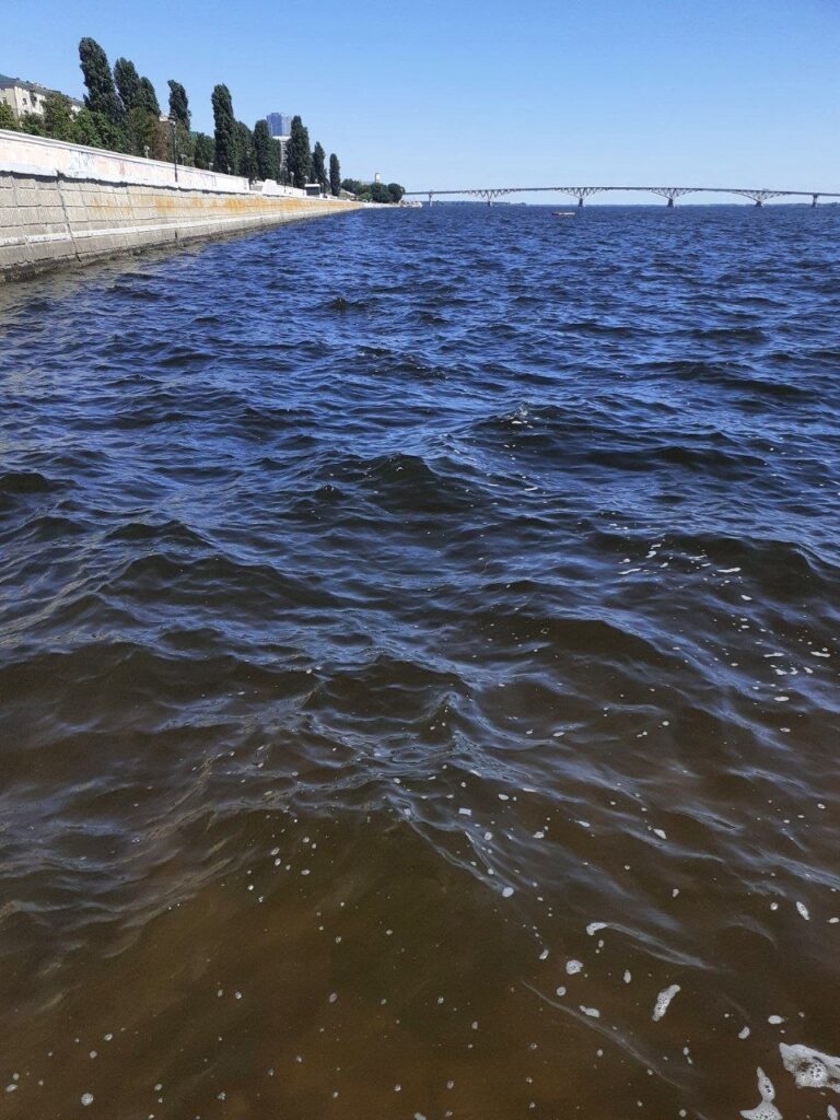 В акватории Набережной Волгу очистили от водорослей и мусора