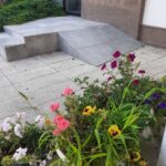 Дерзкое городское озеленение: в Саратове дикий виноград поглотил крыльцо