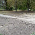 Велодорожка в сквере Революции 1905 года превратилась в тыкву