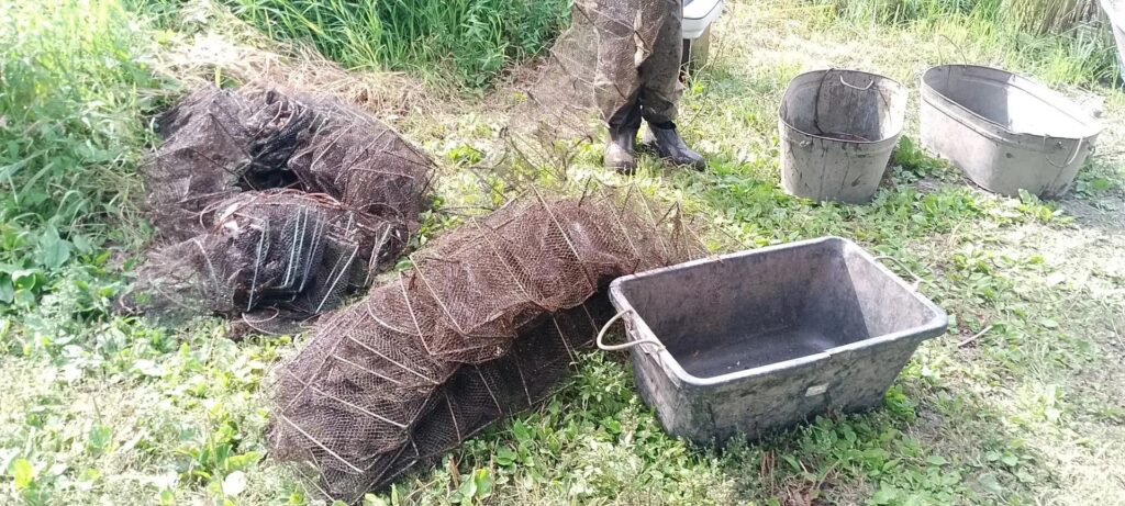 На Саратовском водохранилище задержали браконьера с сотней раков На Саратовском водохранилище задержали браконьера с сотней раков