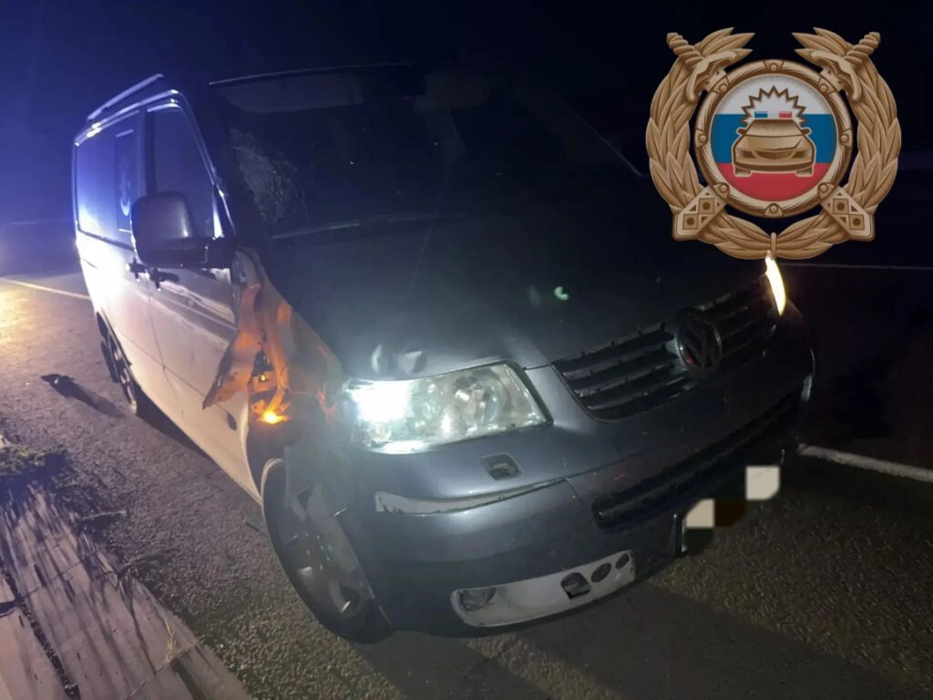 Иномарка насмерть сбила пешехода под Аткарском