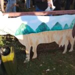 В Шумейке под Энгельсом прошел праздник села: коровы устроили «забастовку» В Шумейке под Энгельсом прошел праздник села: коровы устроили «забастовку»