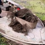 На Саратовском водохранилище задержали браконьера с сотней раков На Саратовском водохранилище задержали браконьера с сотней раков