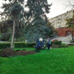 На саратовской набережной работал мини-экскаватор На саратовской набережной работал мини-экскаватор