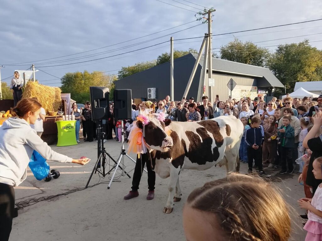 В Шумейке под Энгельсом прошел праздник села: коровы устроили «забастовку» В Шумейке под Энгельсом прошел праздник села: коровы устроили «забастовку»