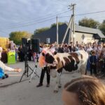 В Шумейке под Энгельсом прошел праздник села: коровы устроили «забастовку» В Шумейке под Энгельсом прошел праздник села: коровы устроили «забастовку»