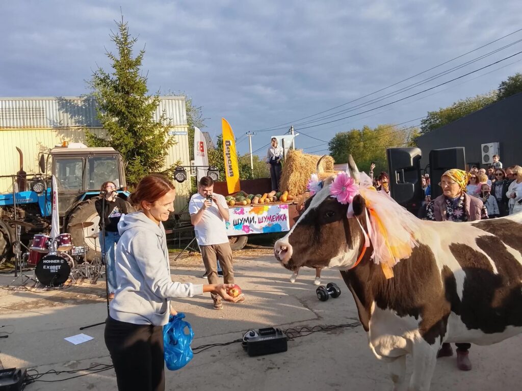В Шумейке под Энгельсом прошел праздник села: коровы устроили «забастовку» В Шумейке под Энгельсом прошел праздник села: коровы устроили «забастовку»