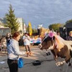 В Шумейке под Энгельсом прошел праздник села: коровы устроили «забастовку» В Шумейке под Энгельсом прошел праздник села: коровы устроили «забастовку»