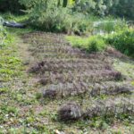 На Саратовском водохранилище задержали браконьера с сотней раков На Саратовском водохранилище задержали браконьера с сотней раков