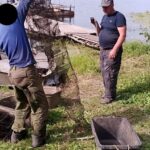 На Саратовском водохранилище задержали браконьера с сотней раков На Саратовском водохранилище задержали браконьера с сотней раков