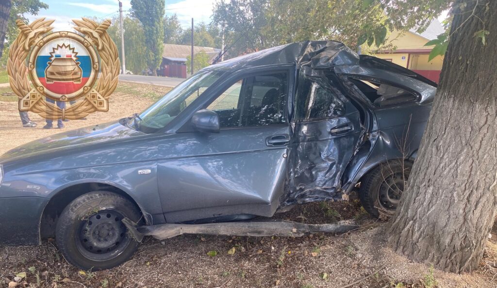 В Саратовской области «Приора» съехала с дороги и врезалась в дерево В Саратовской области «Приора» съехала с дороги и врезалась в дерево