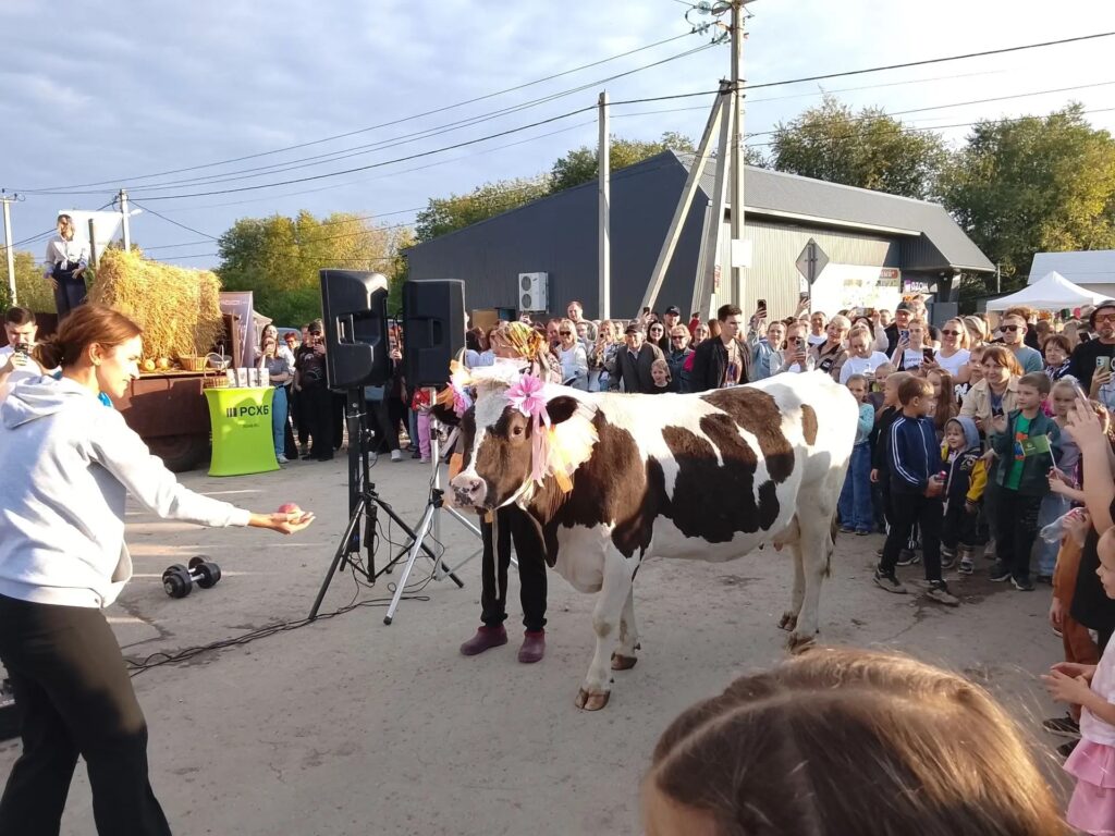 В Шумейке под Энгельсом прошел праздник села: коровы устроили «забастовку» В Шумейке под Энгельсом прошел праздник села: коровы устроили «забастовку»