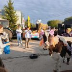В Шумейке под Энгельсом прошел праздник села: коровы устроили «забастовку» В Шумейке под Энгельсом прошел праздник села: коровы устроили «забастовку»