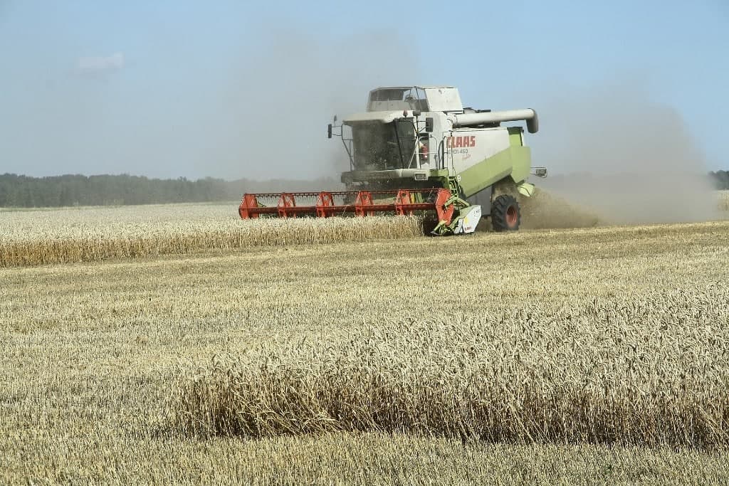 Саратовские власти не раскрыли данные об экспорте сельхозпродукции из-за федерального запрета