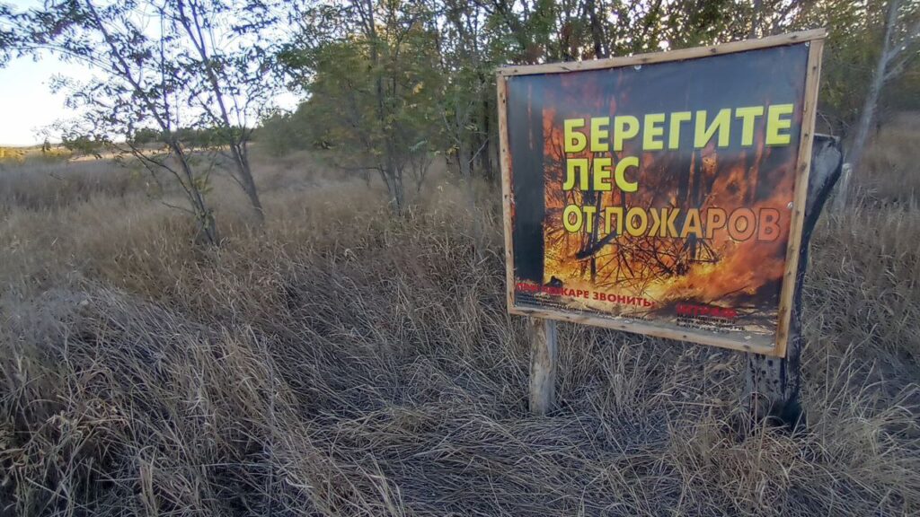 В Саратовской области полыхало 100 гектаров сухого поля В Саратовской области полыхало 100 гектаров сухого поля