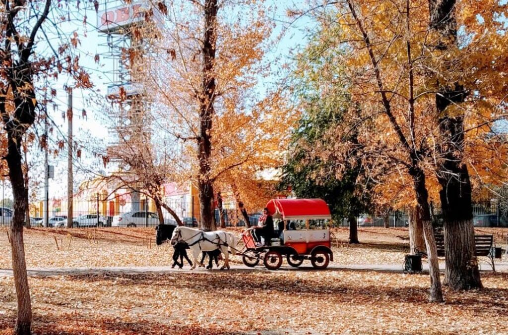 Погода в выходные в Саратовской области: туманы и до +3° выше нормы Погода в выходные в Саратовской области: туманы и до +3° выше нормы