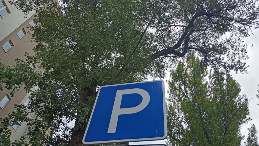 В Энгельсе снесут ряд деревьев ради парковки
