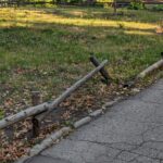 Что изменилось в саратовском горпарке Что изменилось в саратовском горпарке