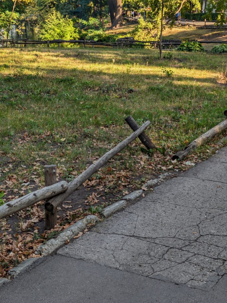 Что изменилось в саратовском горпарке