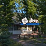Что изменилось в саратовском горпарке Что изменилось в саратовском горпарке