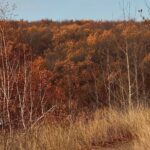 Красота Саратовской области осенью Красота Саратовской области осенью