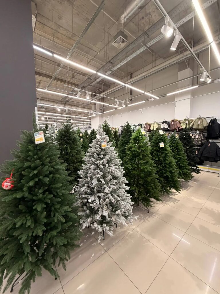 В Саратове дан старт продаж новогодних елок