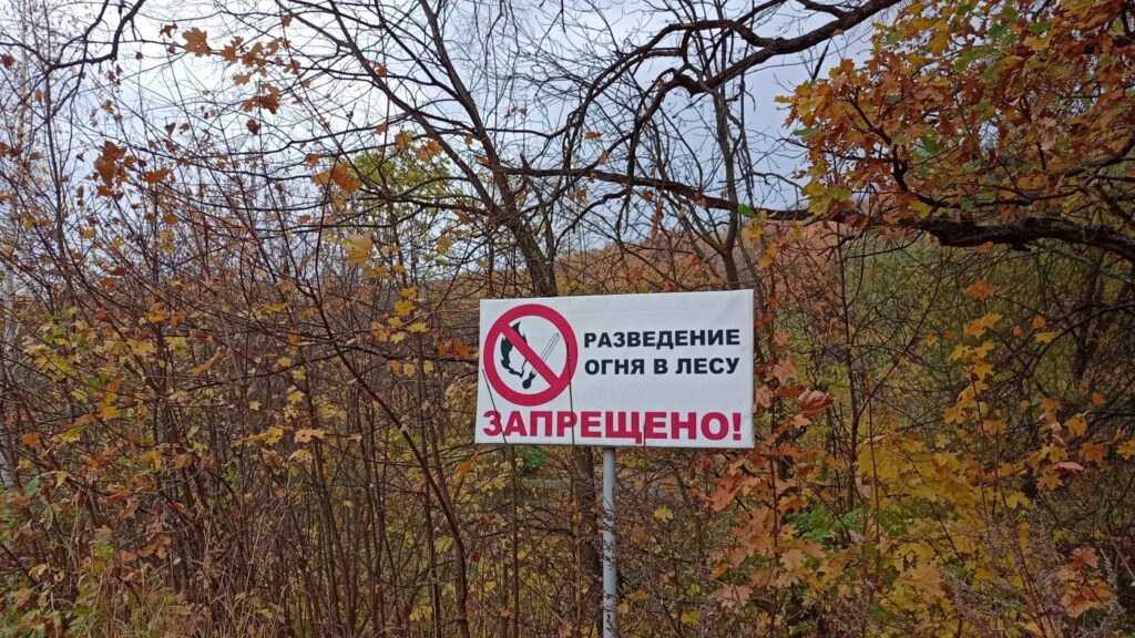 В лесах Саратовской области ограничили пребывание людей из-за пожарной опасности В лесах Саратовской области ограничили пребывание людей из-за пожарной опасности