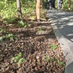 Осенний Ботанический сад в Саратове прекрасен
