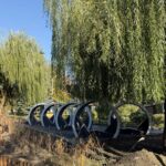Саратовский блогер перечислила плюсы и минусы Горпарка Саратовский блогер перечислила плюсы и минусы Горпарка