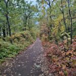 Осенний Ботанический сад в Саратове прекрасен