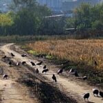 Осенний Ботанический сад в Саратове прекрасен